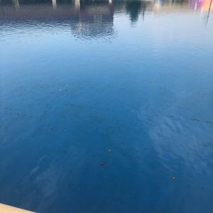 Meet your Posher, Ana